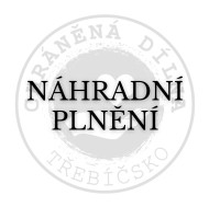 Náhradní plnění